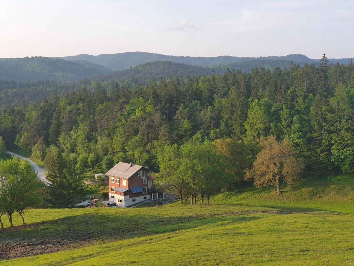 Apartma Narava Apartamento Begunje pri Cerknici Exterior foto