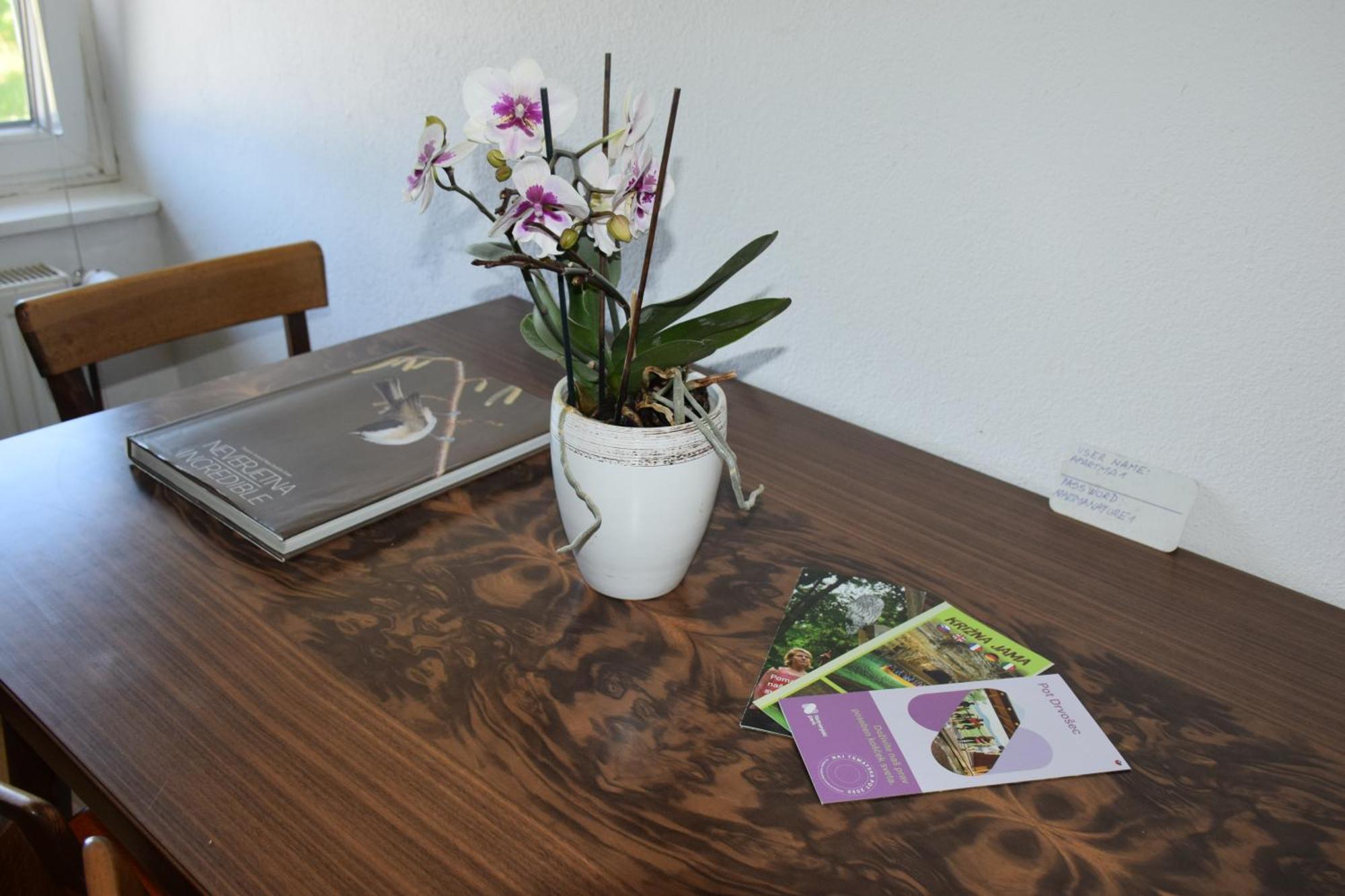 Apartma Narava Begunje pri Cerknici Quarto foto